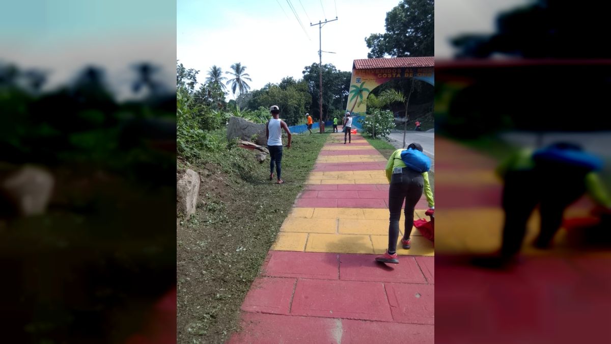 Regional Government develops cleaning plan in Ocumare de la Costa de Oro