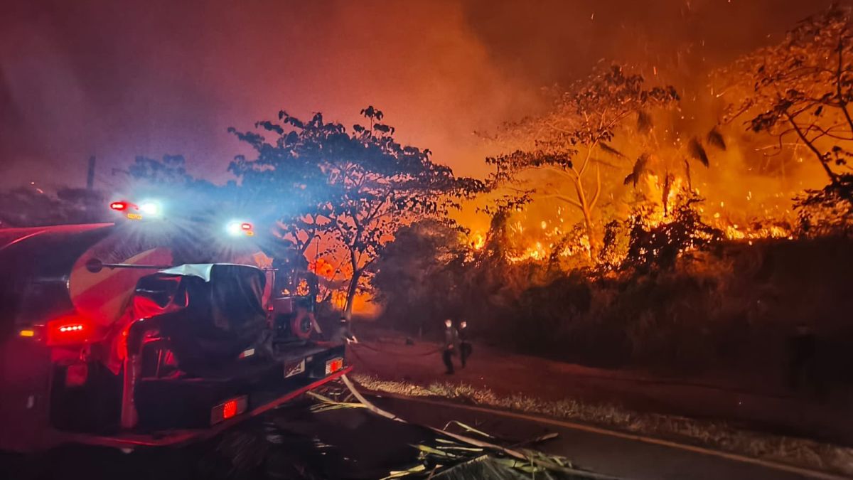 Colombia: Forest fires in Tolima leave more than 50 homes destroyed and thousands of hectares affected