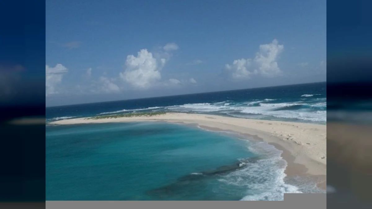 54 years ago, Isla de Aves was declared a Wildlife Refuge