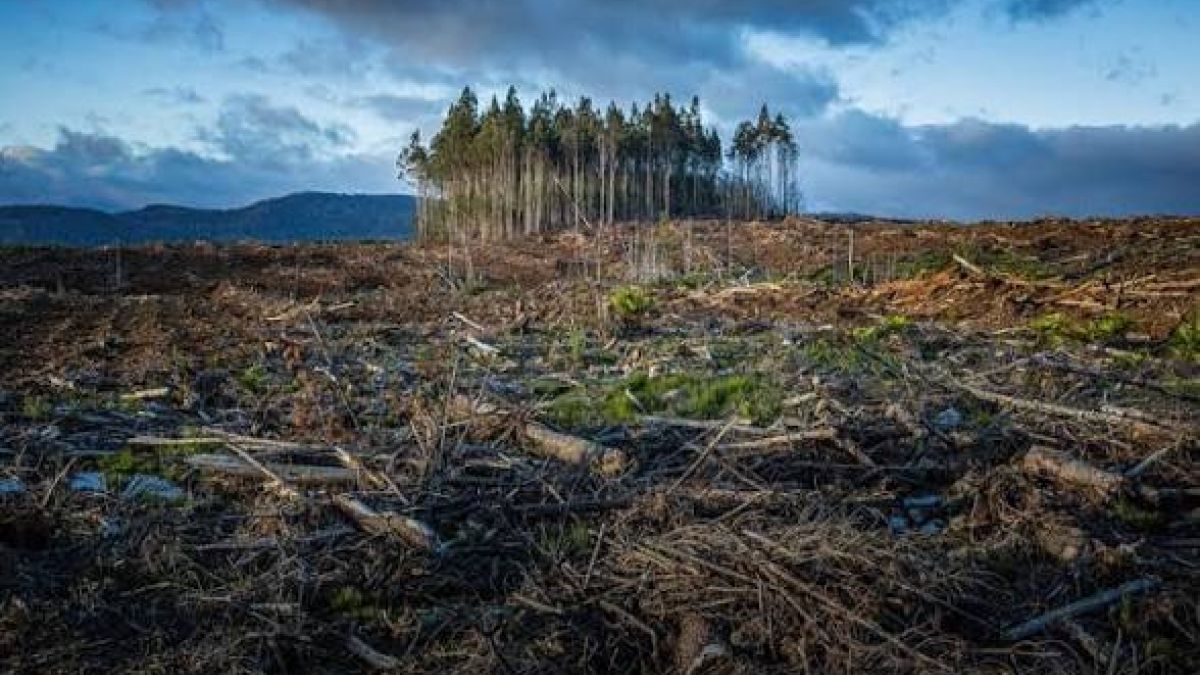 Climate crisis caused almost 30 million internal displacements in the last year in the world
