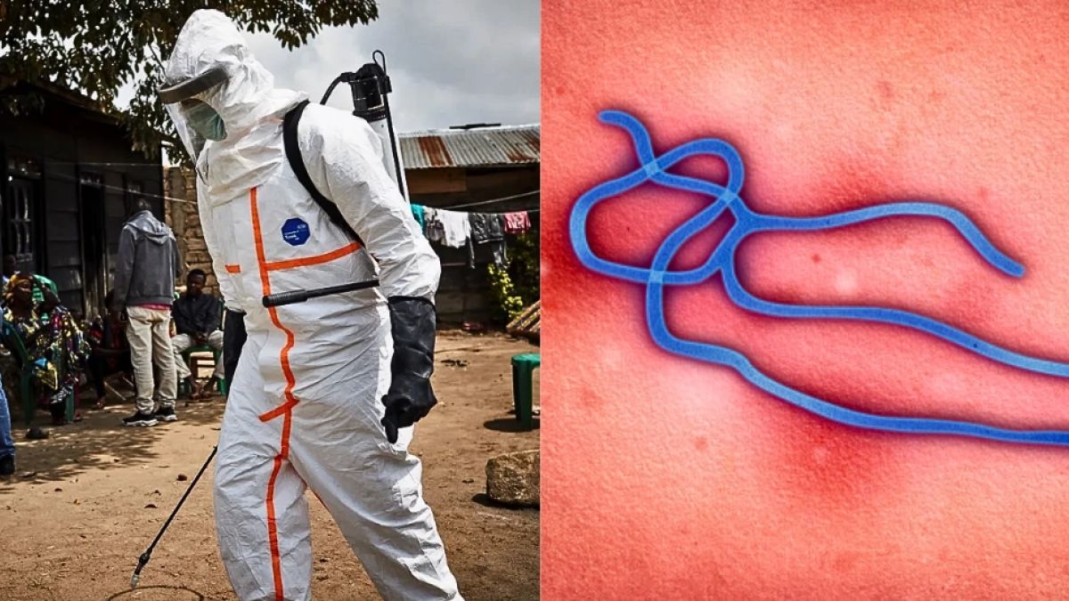 Bundibugyo ebolavirus outbreak reaches historic figures in the Democratic Republic of Congo