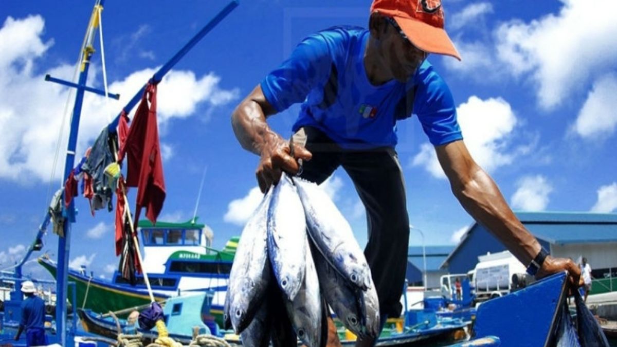 Venezuela and FAO will apply guidelines for the sustainability of small-scale fisheries