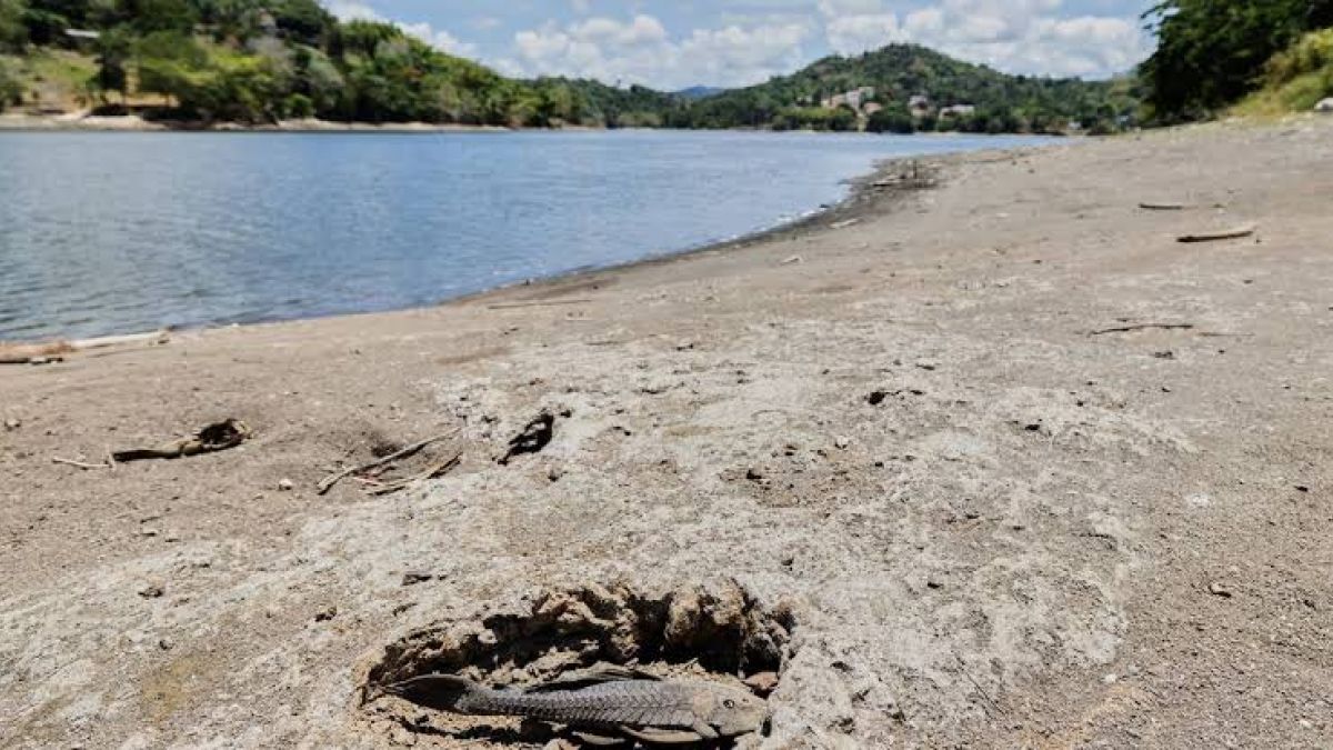 Rainfall in Puerto Rico reduces extreme drought slightly to 37.14%