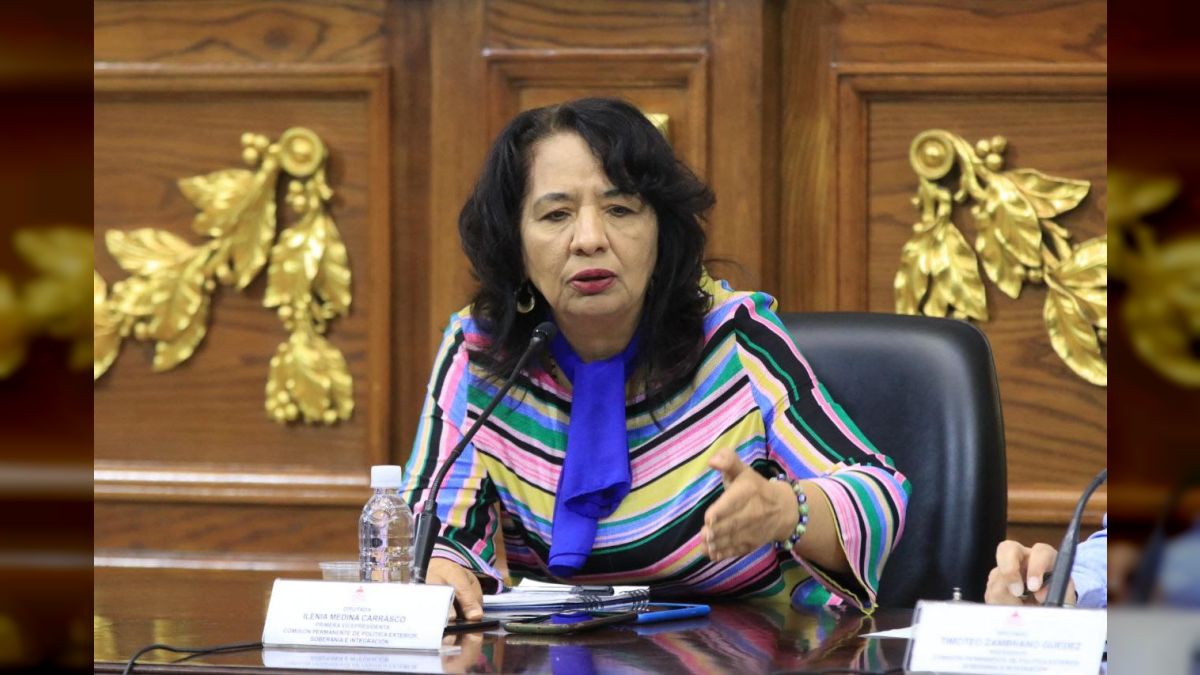 Medina: AN spread the truth about Venezuela at an international seminar in Mexico