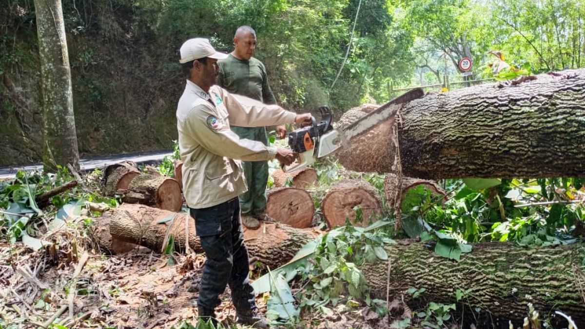 INPARQUES Aragua maintains and rehabilitates the Guamita sector in Henri Pittier Park