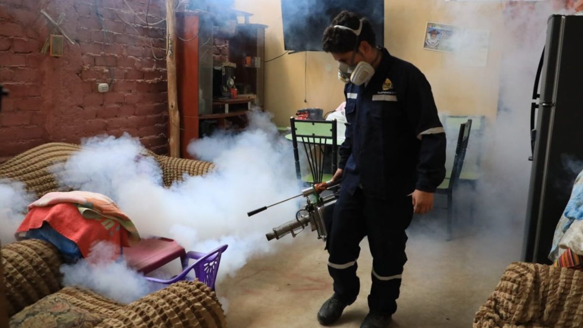 Peru registers 80,000 cases of dengue fever in the worst epidemic in its history