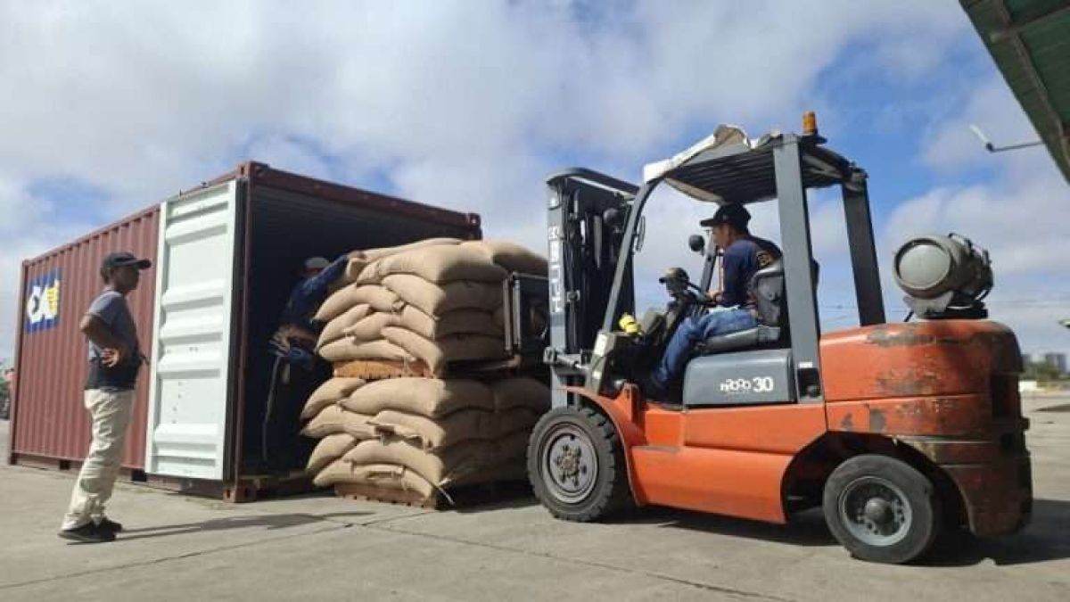 Lara exports 42 tons of coffee to Spain and Turkey